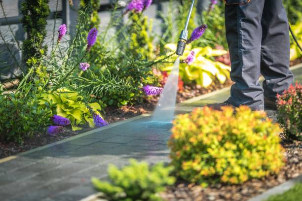 Frenchtown, MT Pressure Washing Services Company