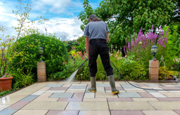 Best Pre-Holiday Cleaning  in Frenchtown, MT